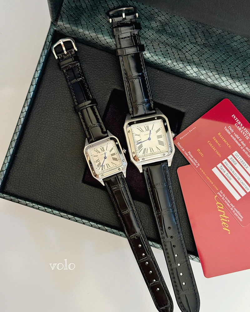 ساعت کارتیه دومونت / cartier dumont - Image 20
