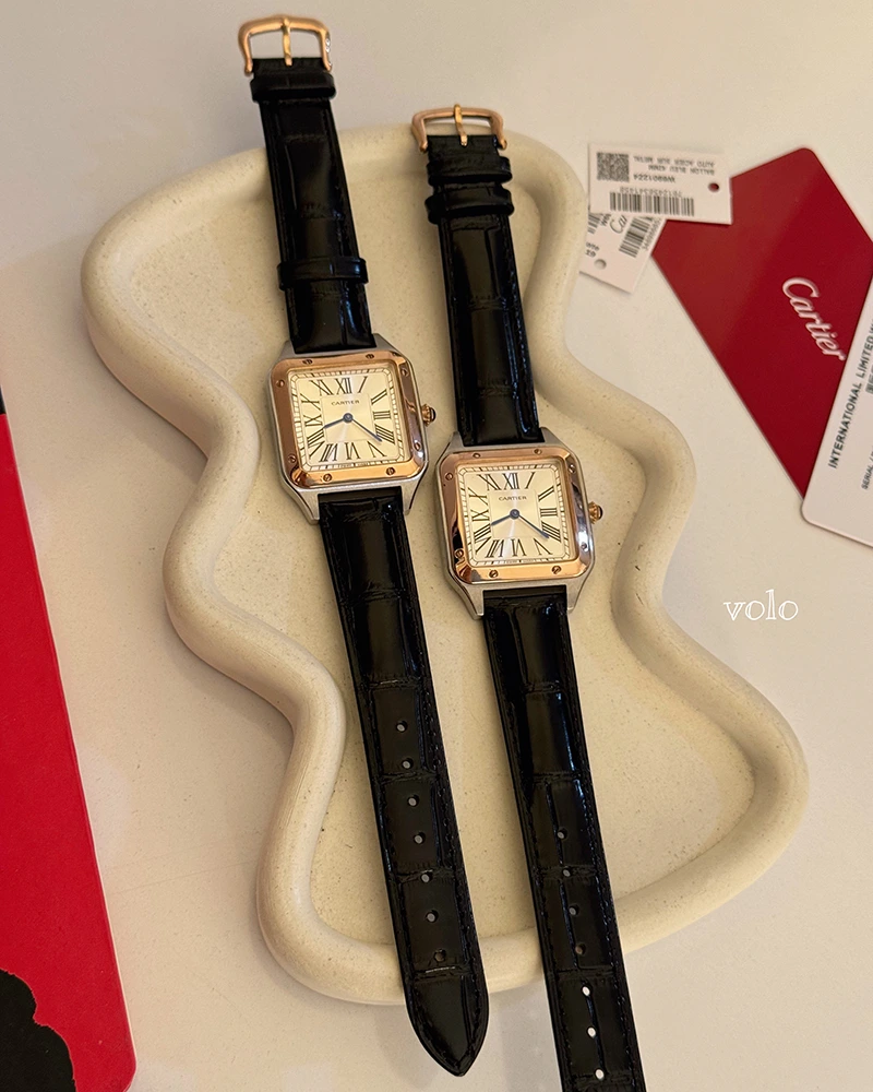 ساعت کارتیه دومونت / cartier dumont - Image 24