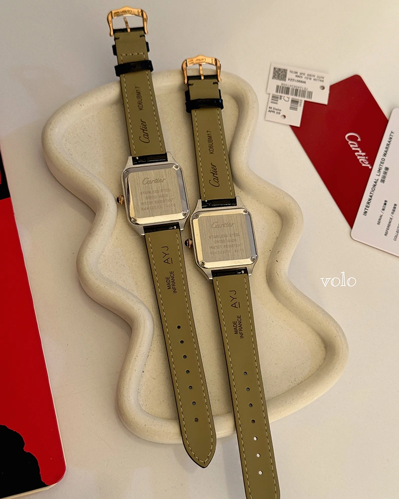 ساعت کارتیه دومونت / cartier dumont - Image 25