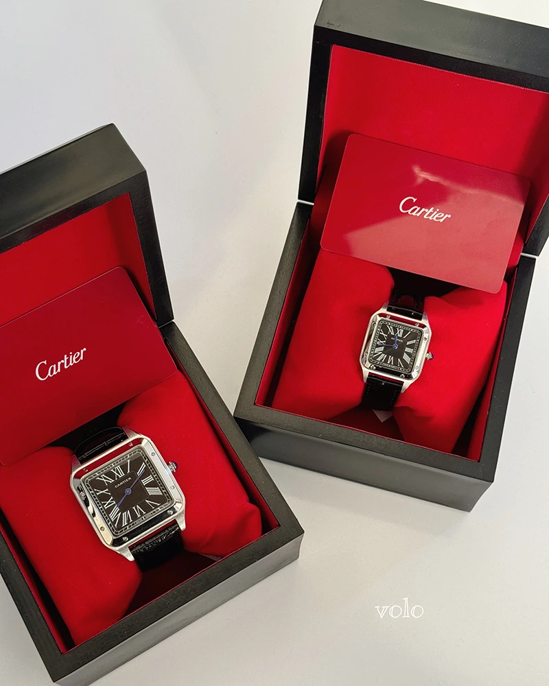 ساعت کارتیه دومونت / cartier dumont - Image 27